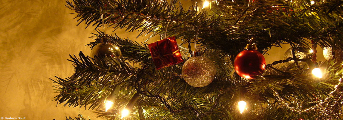 Tout savoir sur le syndrome du sapin de Noël