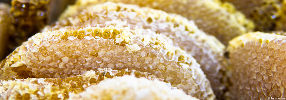 La propolis candidate naturelle à la lutte contre le Covid-19