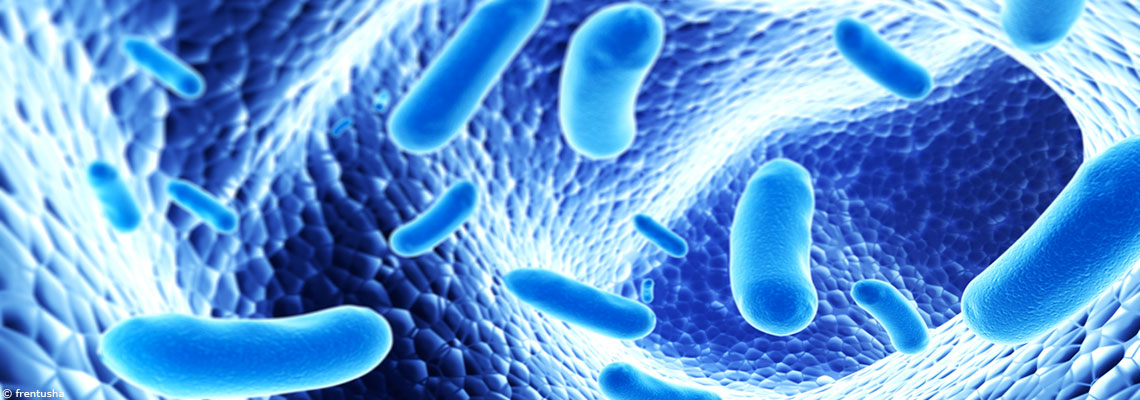 Comment le microbiote intestinal participe à notre défense contre la Covid-19