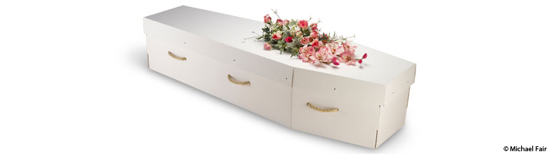 Les cercueils en carton ou champignons, écolos jusqu’à la mort