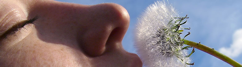 Anosmie : comment retrouver son odorat ?