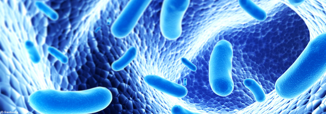 Microbiote intestinal : une révolution pour la médecine ?