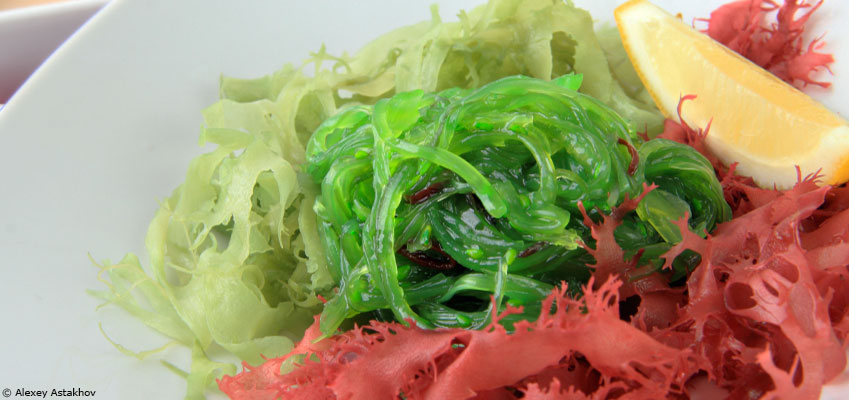 De l'algue dans notre assiette