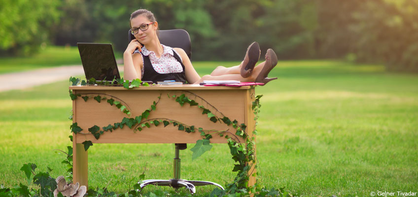 Le Feng Shui au bureau