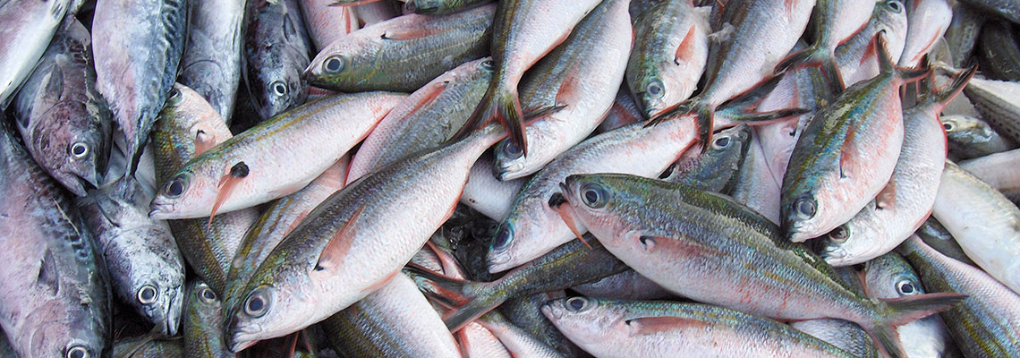 Huit poissons sur dix ne sont pas issus de la pêche durable, alerte l’UFC-Que Choisir