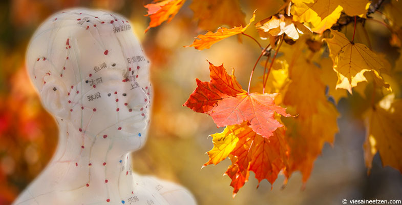 Médecine traditionnelle chinoise : les méridiens de l'automne