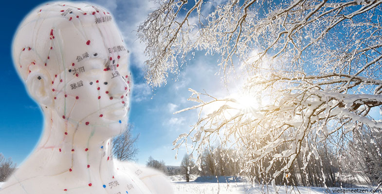 Médecine traditionnelle chinoise : les méridiens de l'hiver