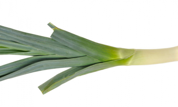 Le poireau, légume d'hiver