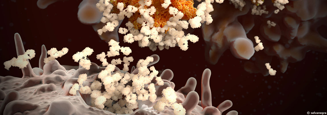 Covid-19 : ce que l'on sait de la réponse immunitaire à un stade précoce