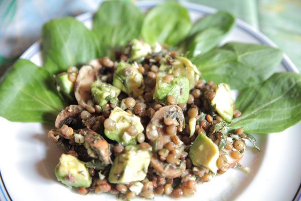 Salade de lentilles, avocat, champignon