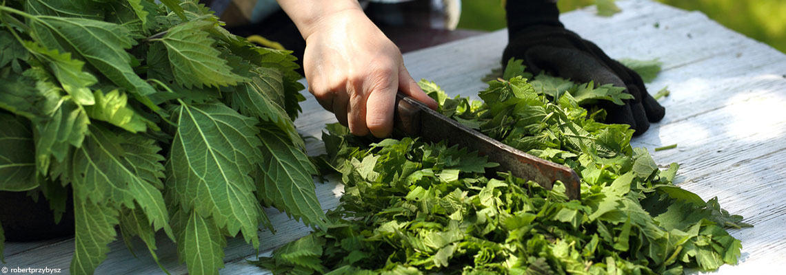 Faire des potions pour le jardin