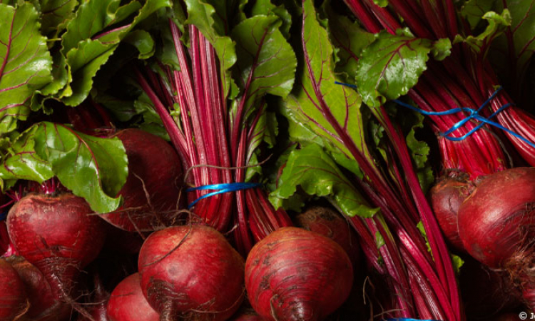 La betterave, légume d'hiver