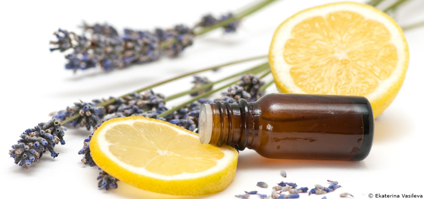 Aromathérapie : bien démarrer avec les huiles essentielles