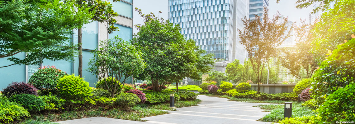 Méthode Miyawaki : pourquoi les &quot;microforêts&quot; ne sont pas vraiment des forêts