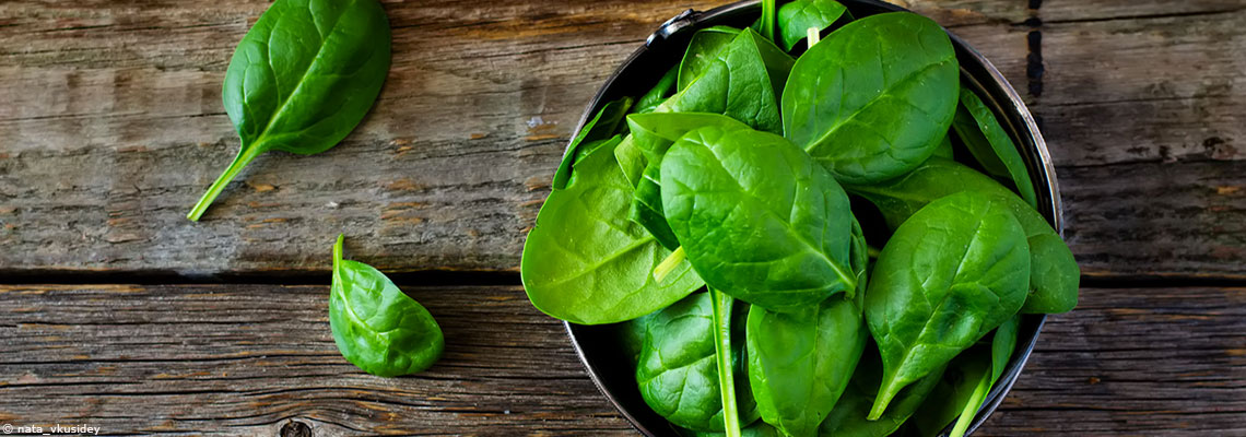 L'épinard, légume de printemps