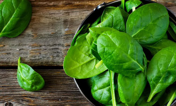 L'épinard, légume de printemps