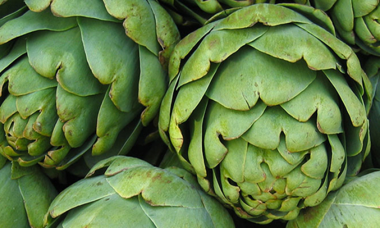 L'artichaut, légume de printemps