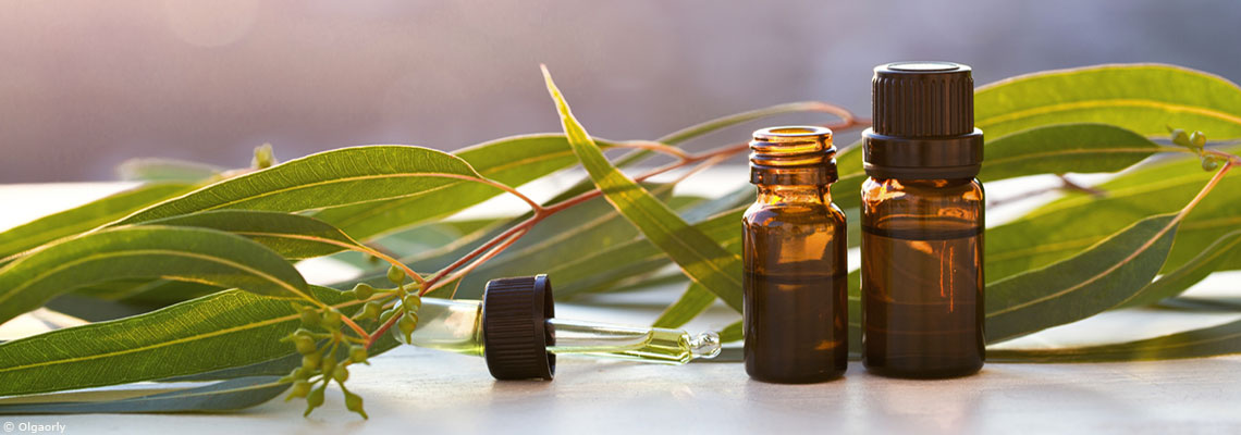 L’huile essentielle de ravintsara , un antiviral naturel et puissant