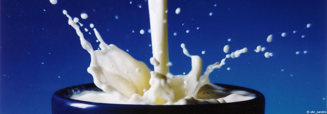 Lait de vache et produits laitiers : des aliments controversés