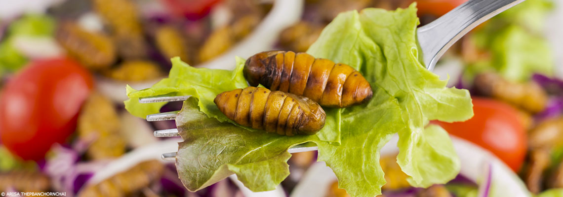 L’entomophagie : des insectes dans nos assiettes