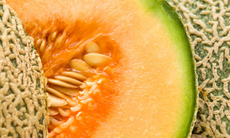 Le melon, fruit d'été