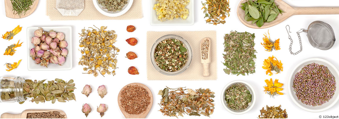 Phytothérapie : une grande part du savoir traditionnel disparaît