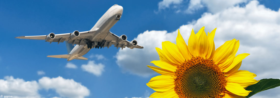 Vacances post-covid : revenge travel ou slow tourisme ?