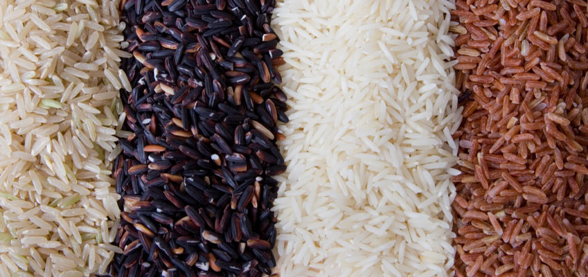 Le riz : l'aliment de base