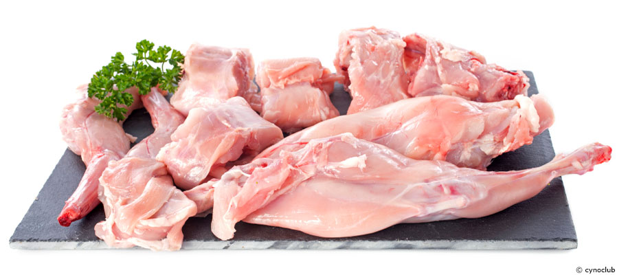 Le lapin : symbole de fécondité