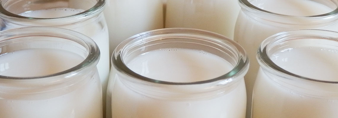 Le yaourt : le velours de l'intestin
