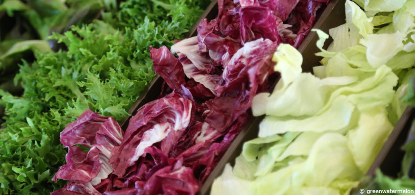 Chicorées : frisée, scarole, pain-de-sucre… Des salades toute l'année !