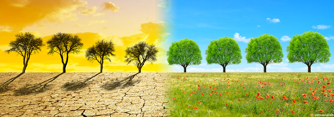 La crise climatique sera pire que le Covid pour la santé, alertent les journaux médicaux