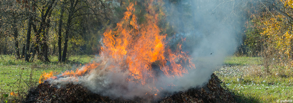 Pourquoi brûler ses déchets de jardin est une mauvaise idée