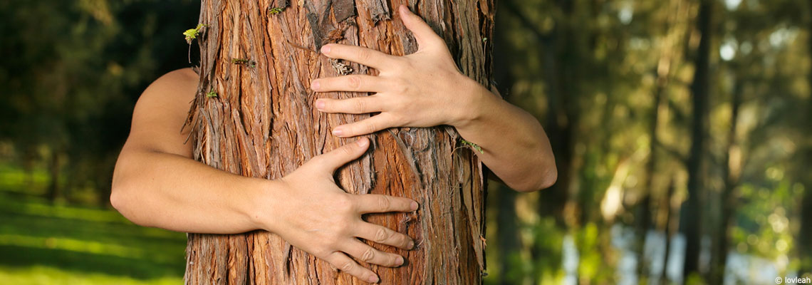 La sylvothérapie ou les bienfaits des bains de forêt