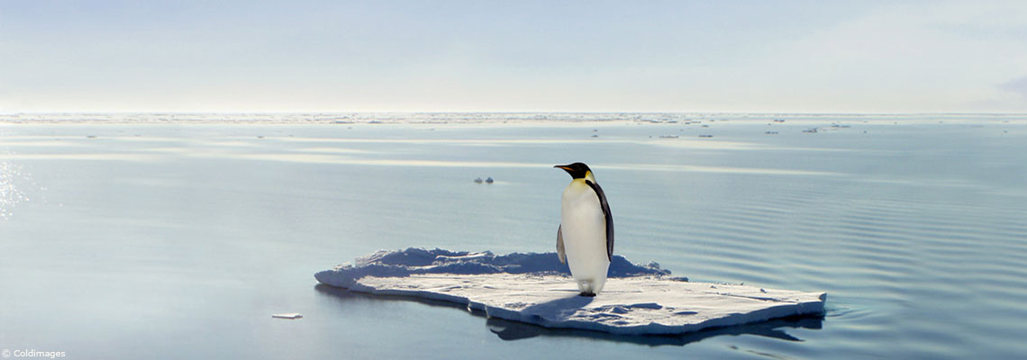 Climat et santé mentale : ce que les réseaux sociaux nous disent de l’éco-anxiété