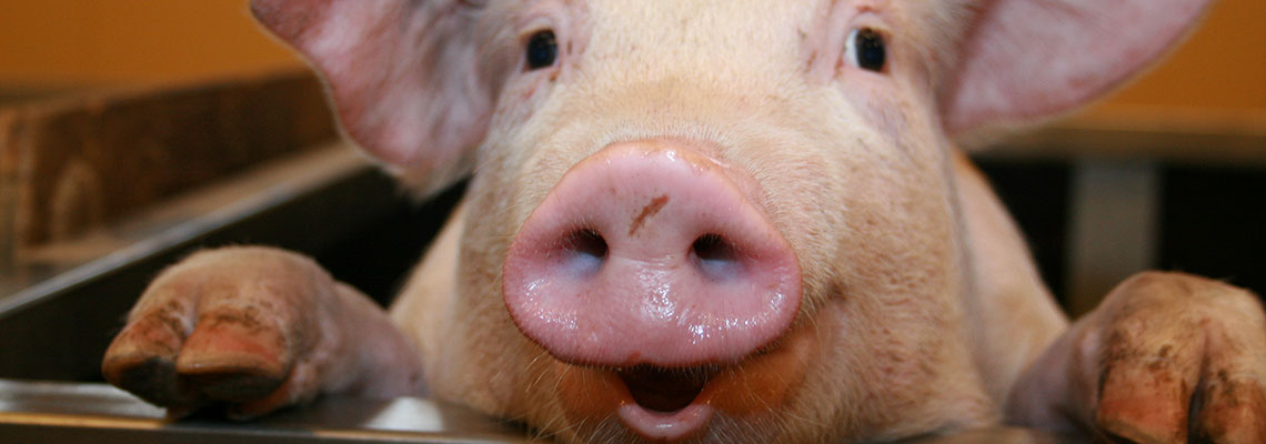 Environnement : ce qui a changé au 1er janvier