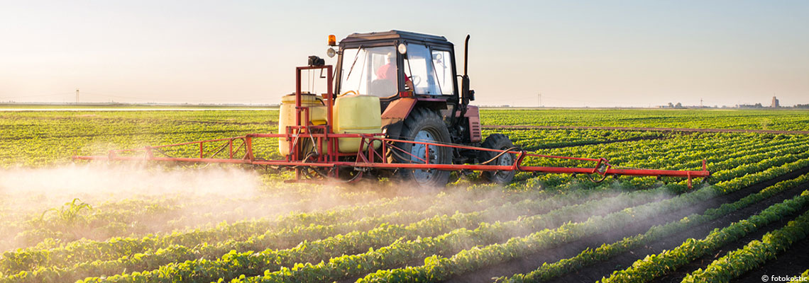 Pesticides à risques, 50 % de fruits et légumes contaminés