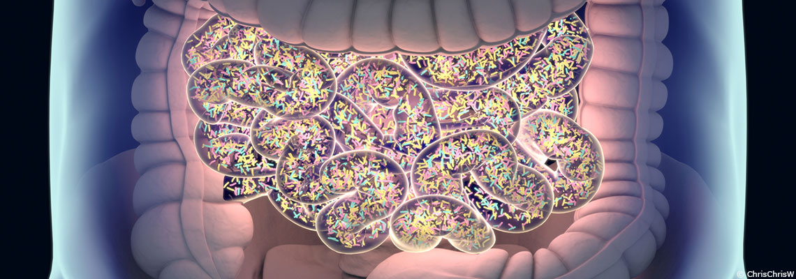 Quelles sont les particularités du microbiote intestinal d’une personne dépressive ?