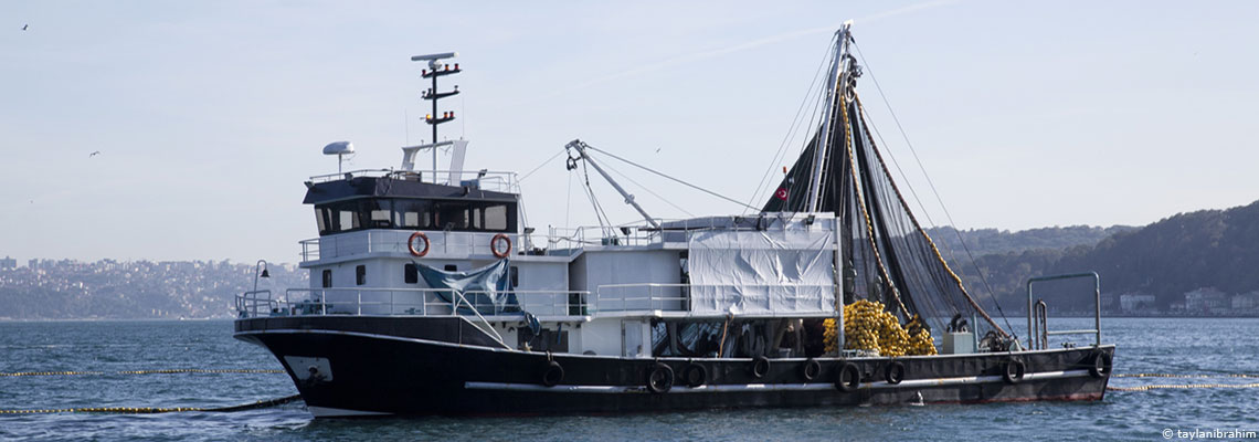 Pêche : la Commission européenne interdit le chalutage dans une partie de l'Atlantique