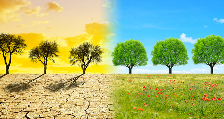 Les 1 % les plus riches émettent autant de gaz à effet de serre que les 66 % les plus pauvres, selon l’Oxfam