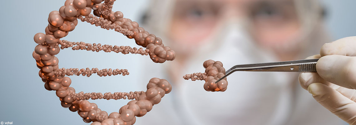 Anses : L’agence sanitaire propose des garde-fous face aux &quot;nouveaux OGM&quot;