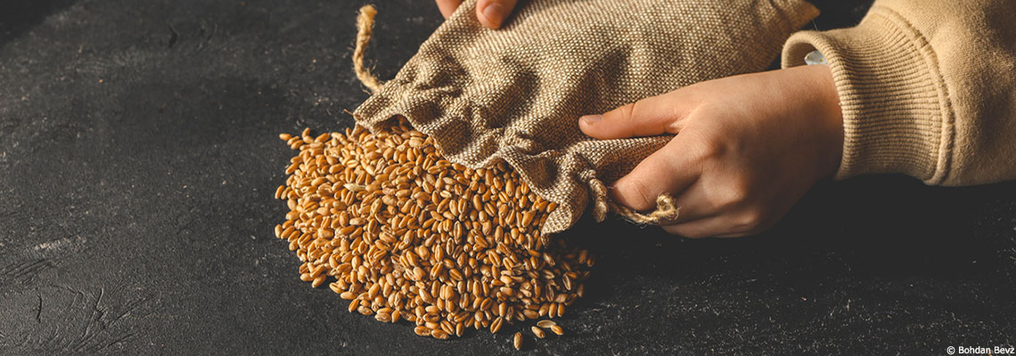 Quel avenir pour les semences paysannes ? Entre partage informel, changement des lois et utilisation du numérique