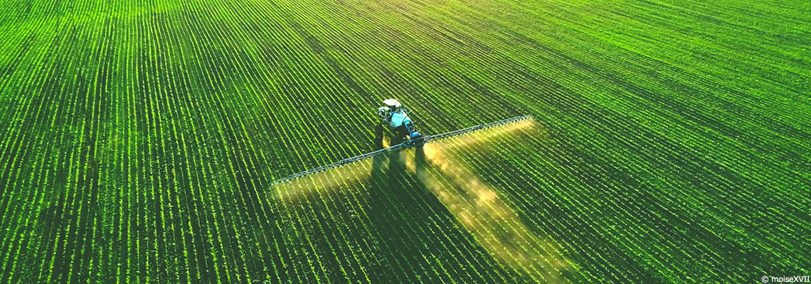 Pesticides : pourquoi l’Etat est condamné en appel à revoir ses protocoles d’autorisation