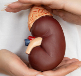 Hormone du stress : réguler l’excès de cortisol