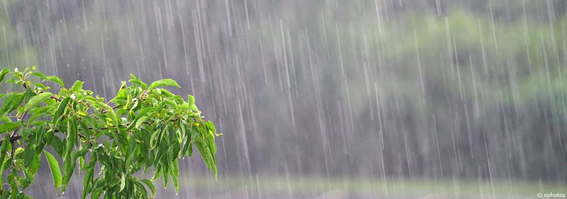 Un niveau "exceptionnel"… Les nappes phréatiques rechargées à bloc après le déluge en février