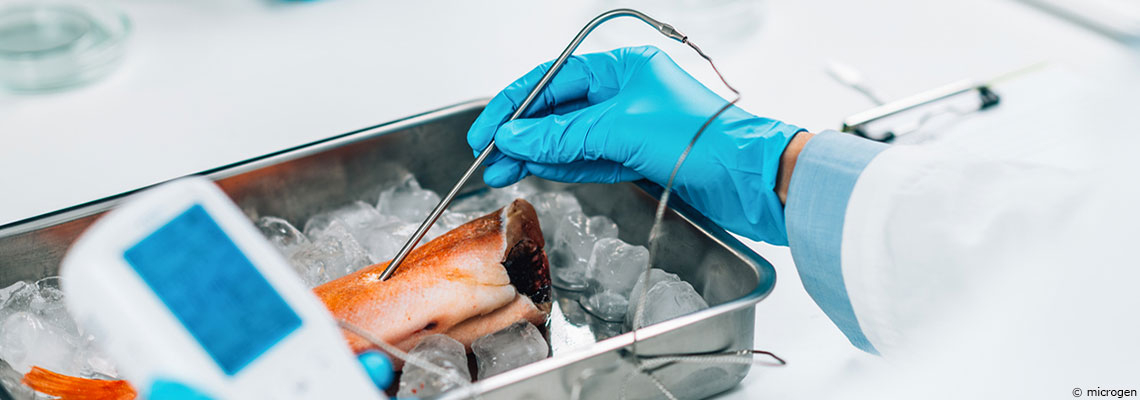 Il faut "agir dès à présent" : le cri d’alerte de l’Anses sur la contamination au cadmium des Français