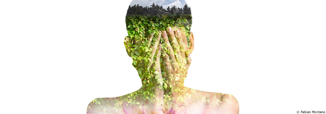 Canicules, mégafeux, sécheresse extrême : plus de 15 millions de Français éco-anxieux pendant cet été apocalyptique, un record