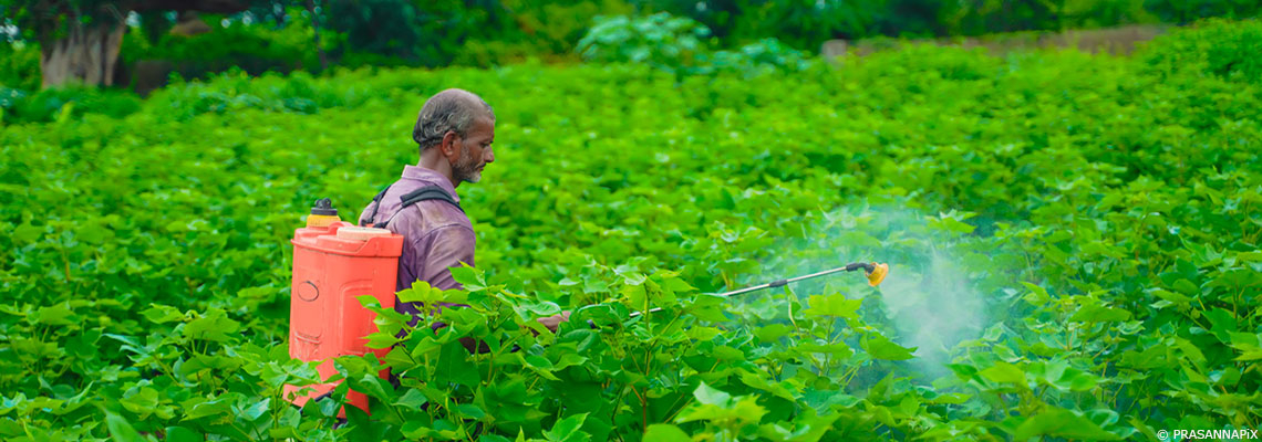 Pesticides : environ 46 % des agriculteurs empoisonnés chaque année dans le monde