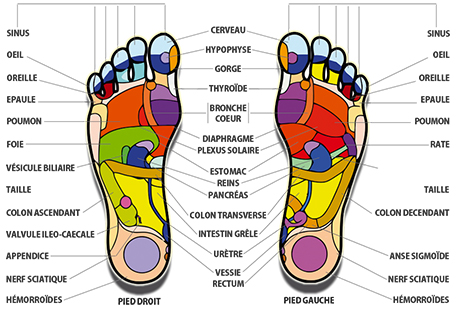 Reflexologie plantaire Carte