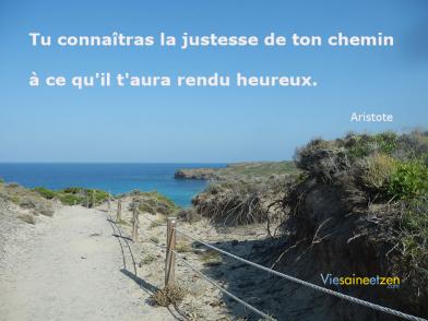 Justesse Du Chemin V2